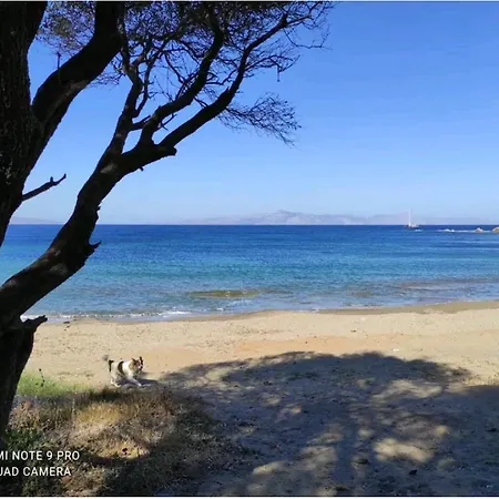 Rentavill Hera Bodrum
